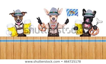 Foto stock: Group Of Bavarian Beer Dogs