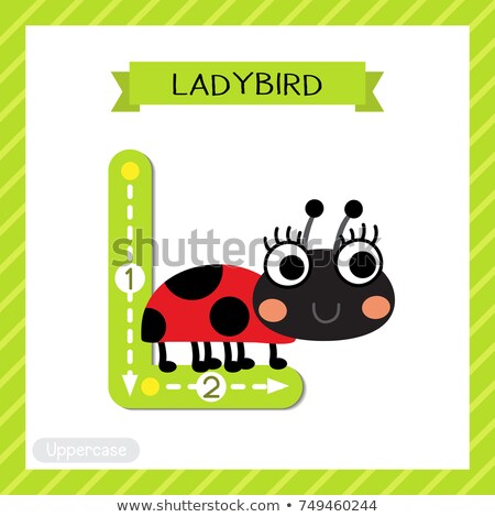 Foto stock: Flashcard Letter L Is For Ladybug
