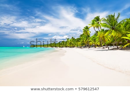 Zdjęcia stock: The White Sandy Beach Maldives