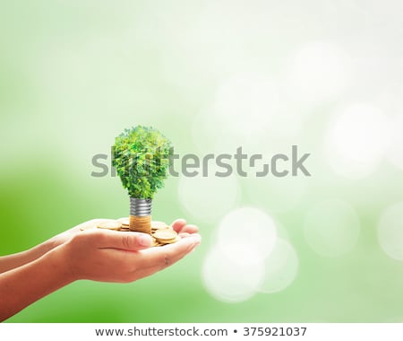 Сток-фото: Light Bulb Going Green