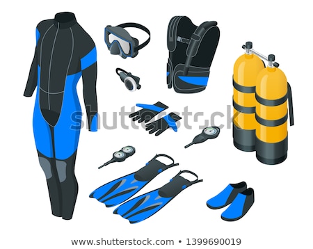 Stok fotoğraf: Male Diver With Diving Suit Snorkel Mask Fins On The Beach