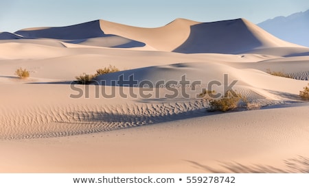 Stok fotoğraf: Stovepipe Wells Sand Dunes Death Valley National Park Californ