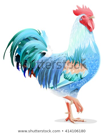 Foto stock: Blue Bird Cock Blue Rooster Symbol 2017 Year On East Horoscope