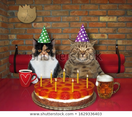 [[stock_photo]]: Cat Lovers In Cafe Lover In Restaurant Pet Romantic Date Cats