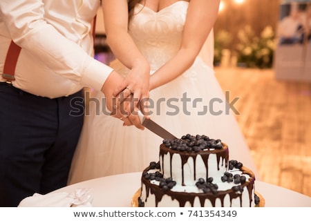 Zdjęcia stock: Bride And Groom Cut Cake