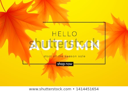 Zdjęcia stock: Autumn Sale Poster With Leaves