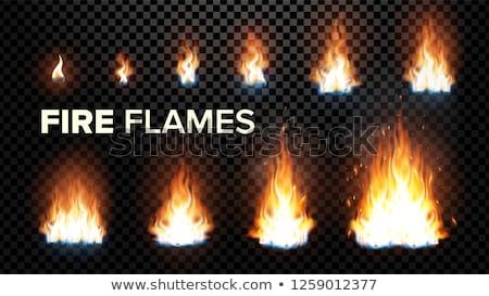 [[stock_photo]]: Animation Stage Of Bright Realistic Fire Vector