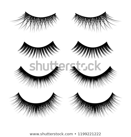 Zdjęcia stock: Black Realistic Detailed Eyelashes On White