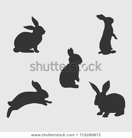 Foto d'archivio: Rabbits Silhouettes Set