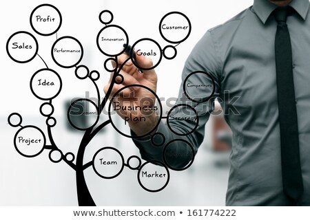 Imagine de stoc: Businessman Drawing Business Plan Tree