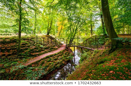 Stock fotó: Creek In The Forest