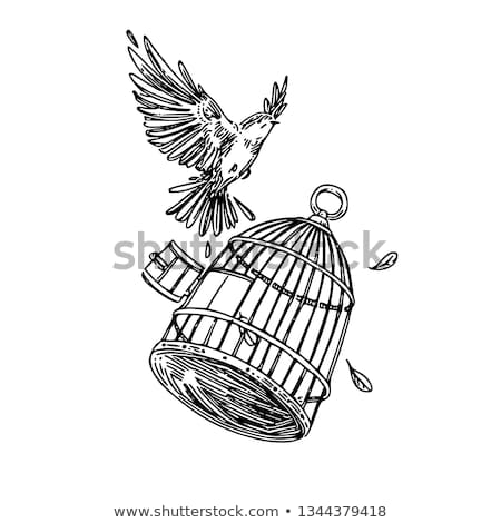 Foto stock: Sketch Bird Cage In Vintage Style