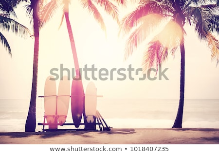 Foto d'archivio: Tropical Beach - Vintage Retro Style