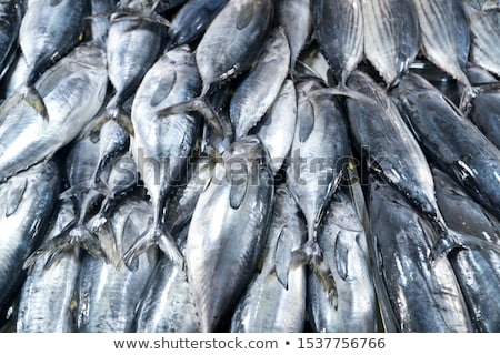ストックフォト: Fresh Tuna Fish Or Seafood At Street Market