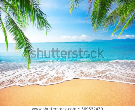 Stock fotó: Sunset At Tropical Beach With Palms