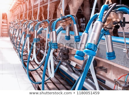 Foto stock: Milking Machines