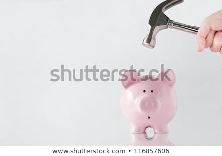 Das Sparschwein brechen Stock foto © Frannyanne