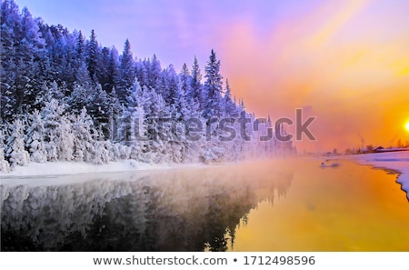 Stock photo: Winter Beauty