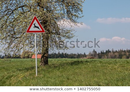 ストックフォト: Traffic Sign German Freeway