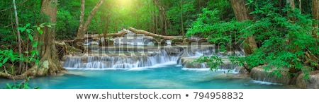 Foto stock: Waterfall In Forest
