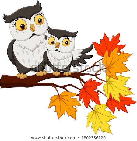 Stockfoto: Owls In Tree Funny Cartoon Illustration