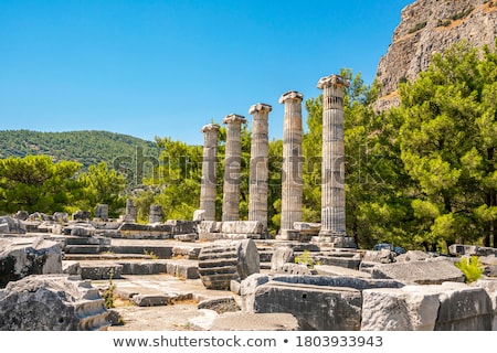 Stok fotoğraf: Columns Of Priene