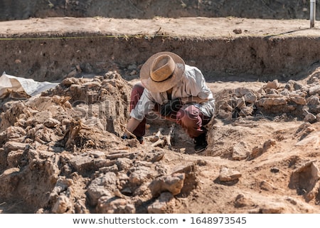Stok fotoğraf: Archaeological Excavation With Skeletons