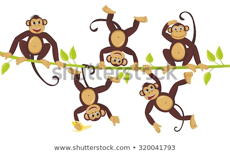 Foto stock: Monkeys Climbing On Vine