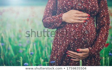 Stock fotó: Pregnant Woman Holding Wildflowers At The Park