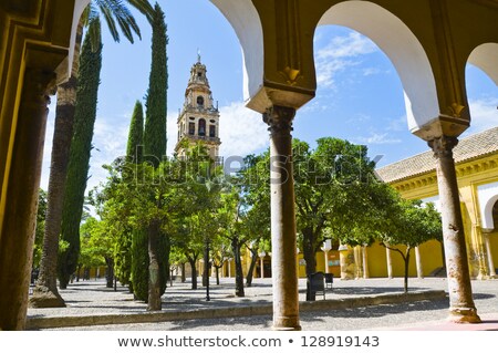 Foto stock: Bell Tower Of The Mezquita Cordoba Andalusia Spain