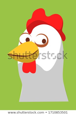 Foto stock: White Chicken With Red Cockscomb On Green Vector