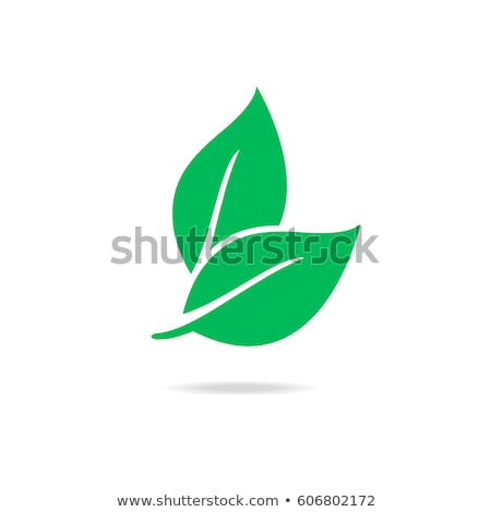 Stok fotoğraf: Green Eco Icons Vector