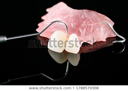 Foto stock: Dental Plate