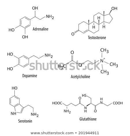 Zdjęcia stock: Chemical Formulas Of Neurotransmitters And Similar Substances In Human Body