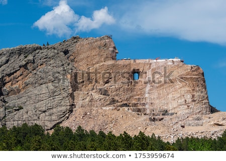 ストックフォト: Crazy Horse