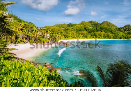 Foto d'archivio: Beautiful Tropical Beach With Lush Vegetation