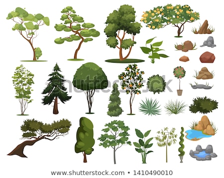 Stock fotó: Shrubs With Rocks