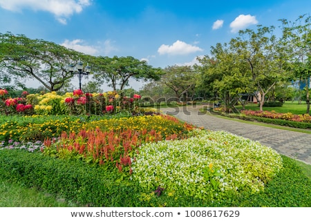 Foto stock: Beautiful Flower Queen