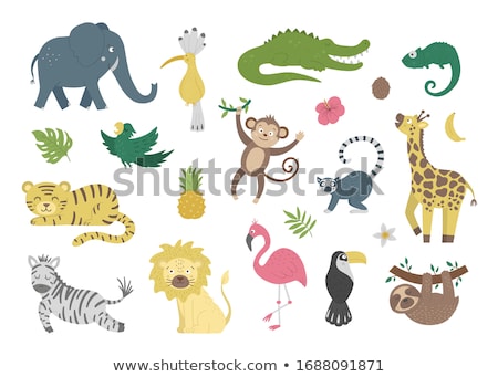 Stockfoto: Vector Cartoon Animal Clip Art