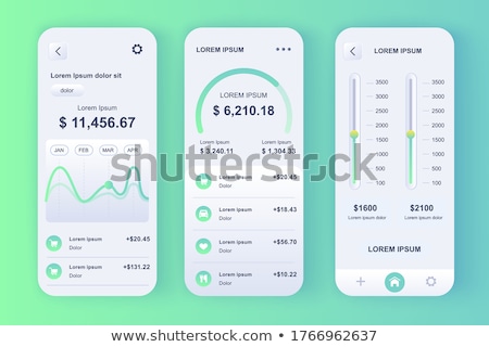 Stok fotoğraf: Budget Planning App Interface Template