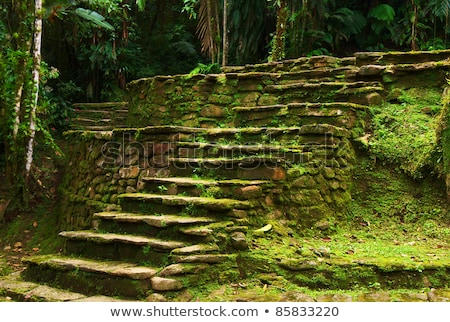 ストックフォト: Stone Stairs And Terraces In Ciudad Perdida Colombia