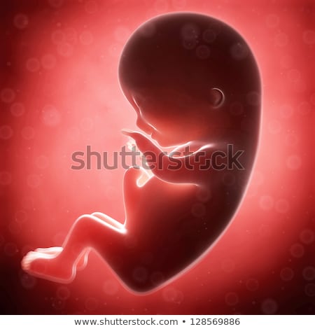 Сток-фото: 3d Rendered Illustration - Human Fetus Month