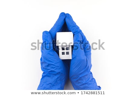 Stock photo: Protect Your House