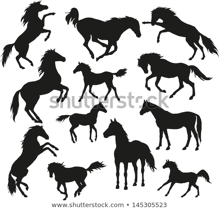 Сток-фото: Silhouette Of Horse In Vector