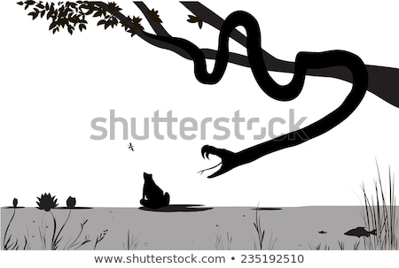 Stockfoto: Snake Eating Frog At Swamp