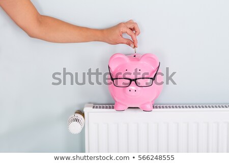 Сток-фото: Piggy Bank With Valve