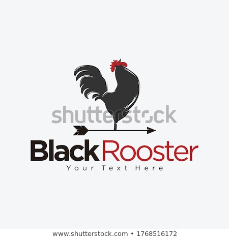 Stock foto: Rooster On The Roof