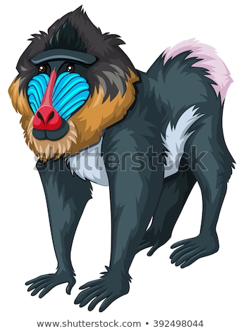 Zdjęcia stock: Baboon With Happy Face