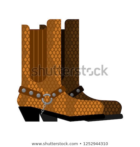 Imagine de stoc: Cowboy Boots Made Python Leather Australia Shoes Made Crocodile