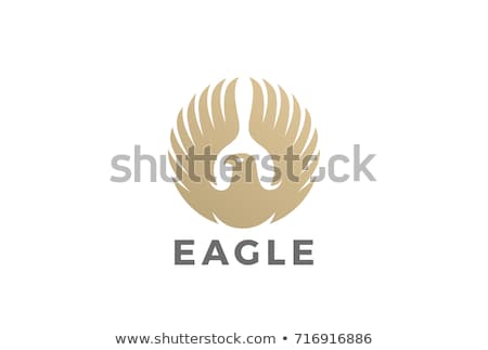 Сток-фото: Eagle And Circle Emblem Template Hawk Symbol Vector Illustrati